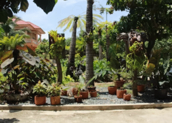 Die Wertsteigerung Ihres Zuhauses: Kluge Investitionen für eine höhere Immobilie